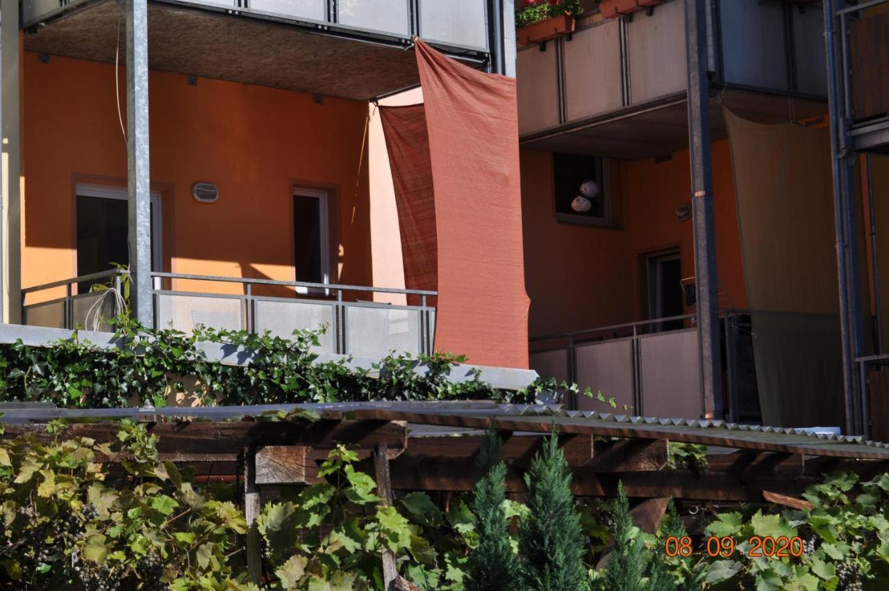 Pension Di Pino Aue  Esterno foto